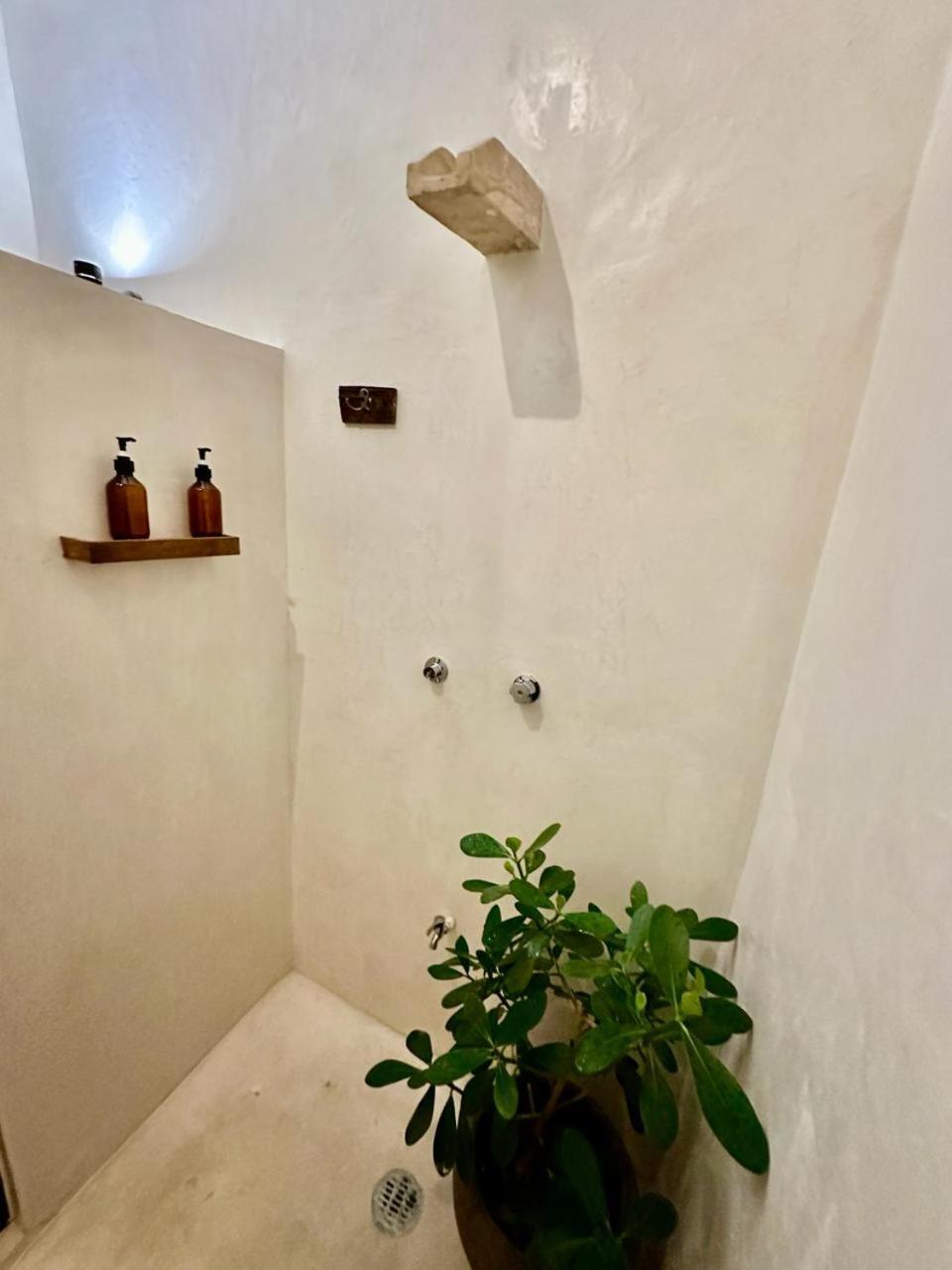 Casa Silice Guesthouse Valladolid  Eksteriør billede